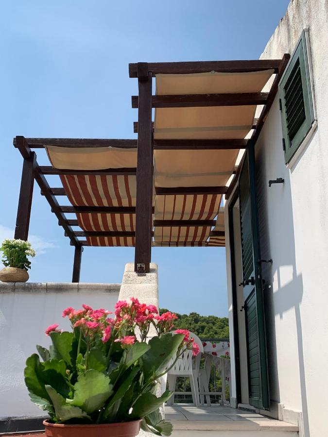 圣梅纳伊欧Casa Del Gelso公寓 外观 照片