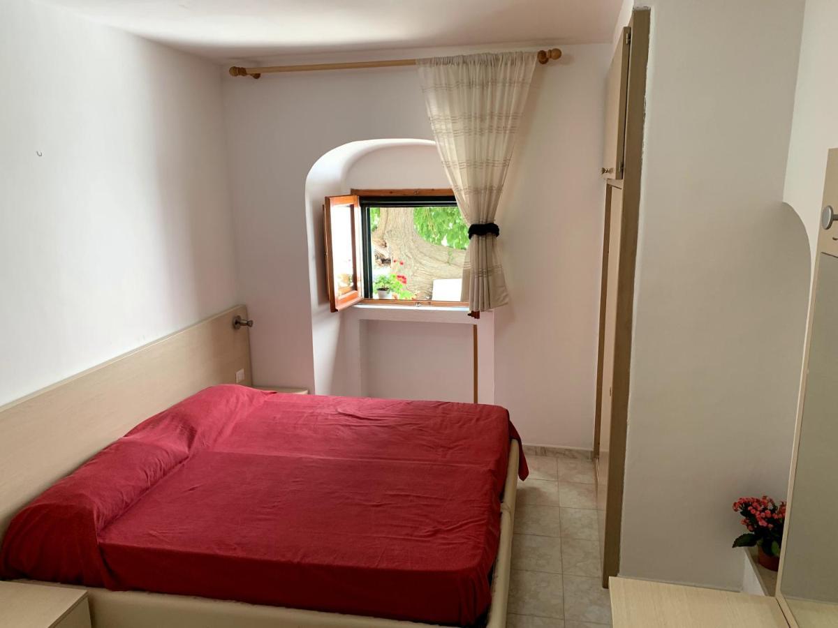 圣梅纳伊欧Casa Del Gelso公寓 外观 照片
